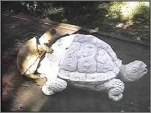 funny-picture-679