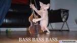 funny-picture-5345