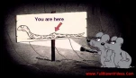 funny-picture-5173