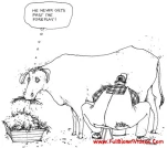 funny-picture-4505