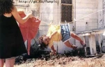 funny-picture-5290