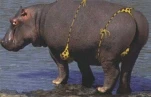 funny-picture-5044