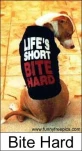 funny-picture-4564