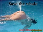 funny-picture-1796