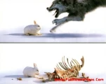 funny-picture-3640