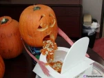 funny-picture-4565