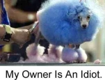 funny-picture-454
