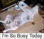 funny-picture-2394