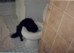 funny-picture-5246