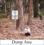funny-picture-1584