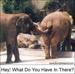funny-picture-5193