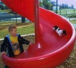 funny-picture-1386