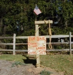 funny-picture-1166