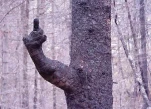 funny-picture-1314