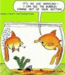 funny-picture-4777