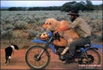 funny-picture-4813