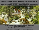 funny-picture-4898