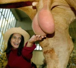 funny-picture-2339