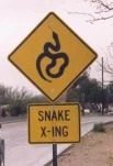 funny-picture-2257