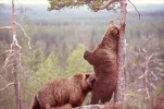 funny-picture-5112