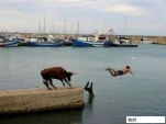 funny-picture-3835