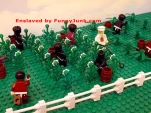 funny-picture-3376