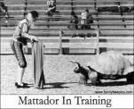 funny-picture-5257