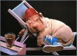 funny-picture-1258
