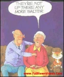 funny-picture-2898