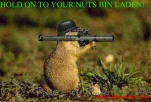 funny-picture-3070