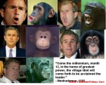 funny-picture-2648