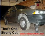 funny-picture-3623