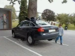 funny-picture-2029