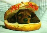funny-picture-648