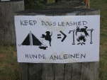 funny-picture-320