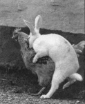 369