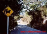 funny-picture-3099