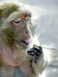 funny-picture-3908