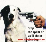 funny-picture-1114