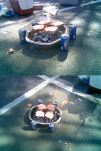 funny-picture-3042