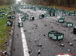funny-picture-1348