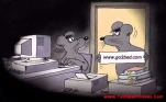 funny-picture-38