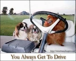 funny-picture-4039