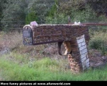 funny-picture-182
