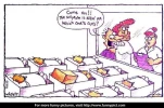 funny-picture-4482