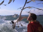 feedthebirds