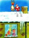 funny-picture-540