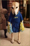ANIMAL14