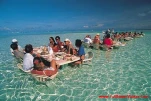 funny-picture-1739