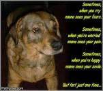 funny-picture-1388